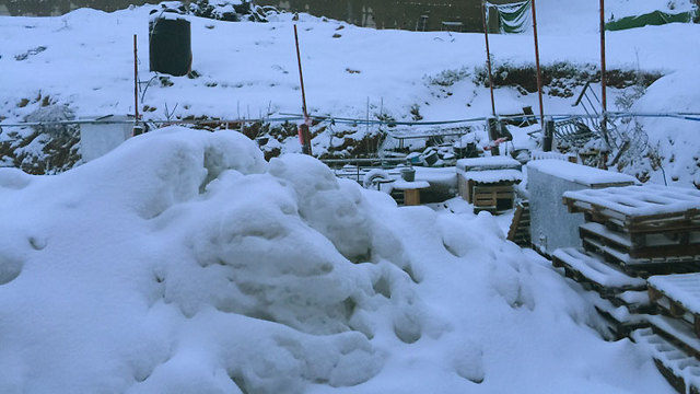 שלג במג'דל שמס (צילום: ראמי אבו סאלח) (צילום: ראמי אבו סאלח)