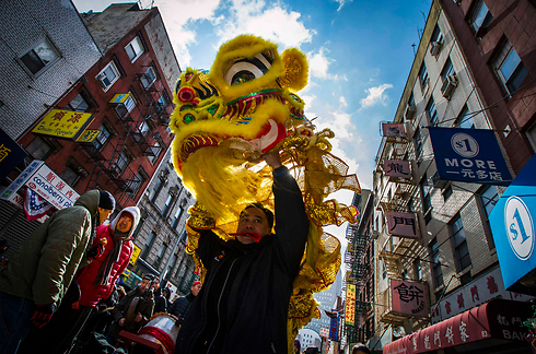 בצ'יינה טאון בניו יורק חגגו את שנת הכבש הסינית. לוח השנה הסיני הירחי, שהתחיל השנה בחודש פברואר, נמצא בלב התרבות הסינית העתיקה (צילום: רויטרס) (צילום: רויטרס)