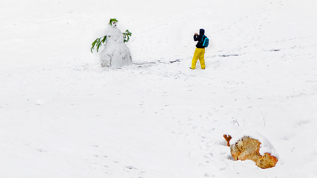 שלג בגבעת מרדכי שבירושלים, הבוקר (צילום: שרון גבאי) (צילום: שרון גבאי)