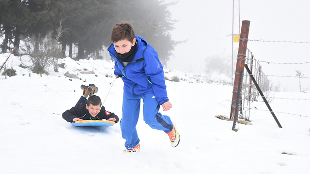 משחקים בשלג בצפת ( צילום: אביהו שפירא) ( צילום: אביהו שפירא)