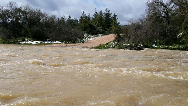 תוצאות השיטפונות בנחל שורק (צילום: רועי ינובסקי) (צילום: רועי ינובסקי)