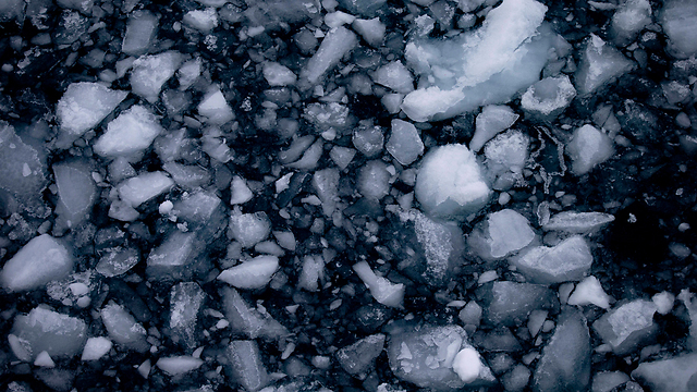 קרח צף בים בלינגהאוזן, ליד תחנת אוהיגינס הצ'יליאנית. הקרח באנטארקטיקה מלמד כיצד השתנו רמות דו תחמוצת הפחמן במהלך אלפי שנים (צילום: AP) (צילום: AP)