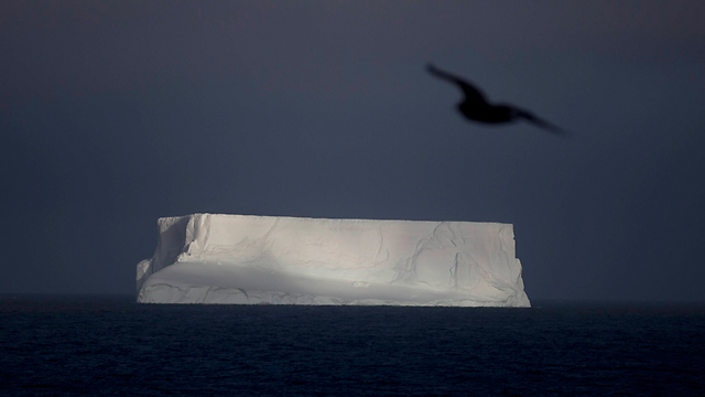 קרחון צף, ליד האי ליווינגסטון (צילום: AP) (צילום: AP)