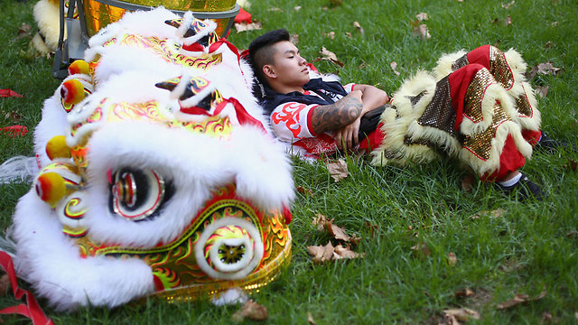 משתתף במצעד השנה הסינית החדשה תופס תנומה ביחד עם תחפושת האריה שלו בהייד פארק בסידני (צילום: getty images) (צילום: getty images)
