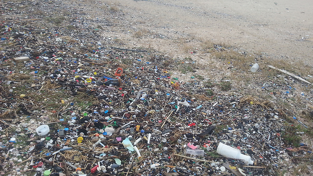 זיהום ב-11 חופים. חוף נחשולים (צילום: ניר לוינסקי-המשרד להגנת הסביבה) (צילום: ניר לוינסקי-המשרד להגנת הסביבה)