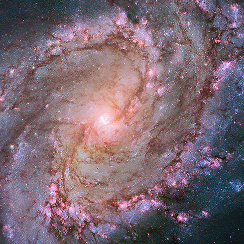 גלקסיה 83M, שצולמה על ידי טלסקופ החלל האבל (צילום: נאס"א) (צילום: נאס