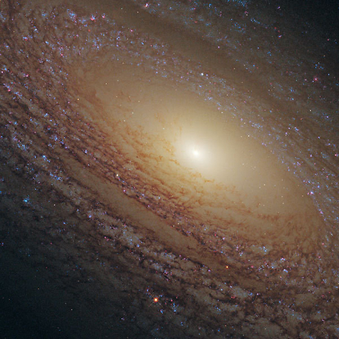 גלקסיית NGC 2841 (צילום: נאס"א) (צילום: נאס