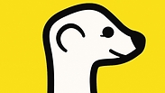 צילום: Meerkat 