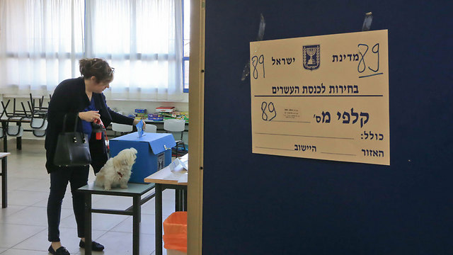 מצביעים בתל אביב (צילום: עידו ארז) (צילום: עידו ארז)