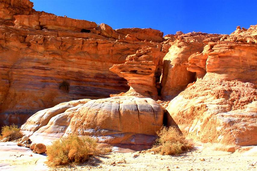 חוויה אותנטית במדבר (צילום: חגית גל) (צילום: יח"צ)
