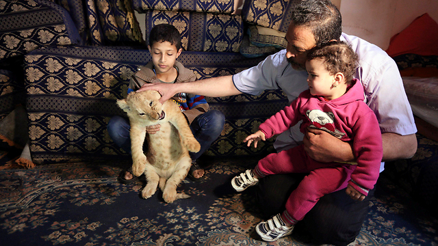 Family with one of the lions (Photo: Reuters)