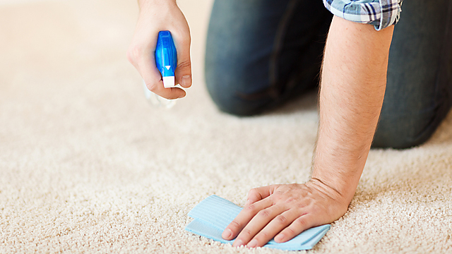 החיידקים מהשטיח נדבקים מייד לאוכל שנפל. איפה הכי נקי (צילום: shutterstock) (צילום: shutterstock)