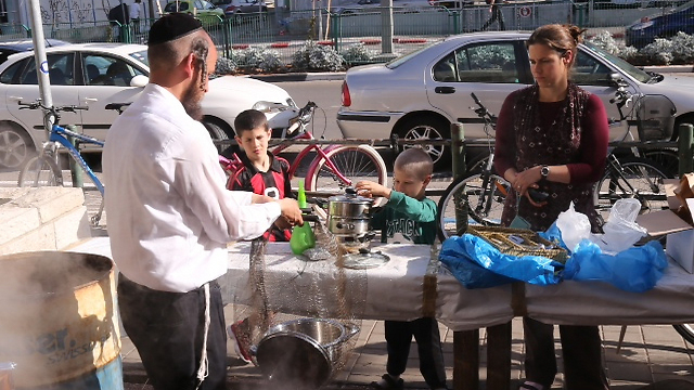 היערכות לקראת חג הפסח ברחוב פנקס בתל אביב (צילום: מוטי קמחי ) (צילום: מוטי קמחי )