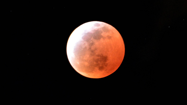 ליקוי הירח, כפי שנראה היום בטוקיו (צילום: AFP) (צילום: AFP)
