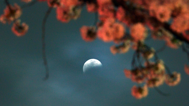 ליקוי ירח. לא ייראה מישראל (צילום: AFP) (צילום: AFP)