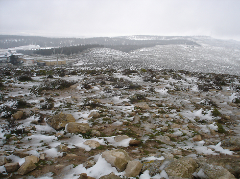 אזור הר עמשא. "יש שלג לפחות פעם או פעמיים בשנה" (צילום: יאיר הכהן) (צילום: יאיר הכהן)