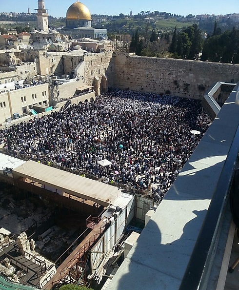 Prayers at the Wailing Wall (Photo: Rabbi David Lau's Office)