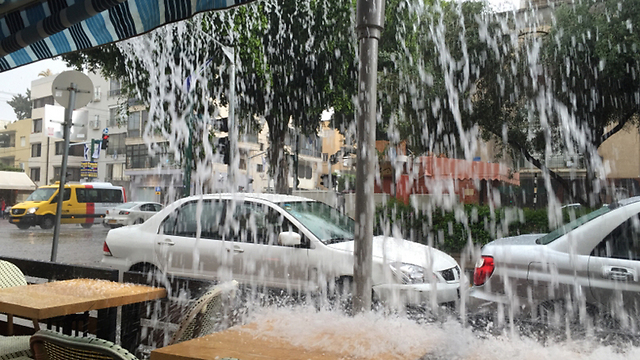 סערה בשדרות בן גוריון בתל אביב  (צילום: מירב יגלה) (צילום: מירב יגלה)