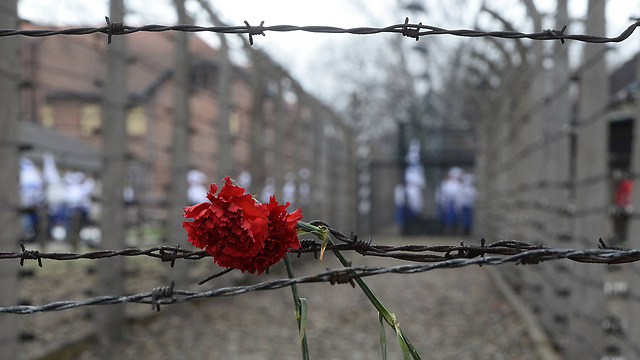 מצעד החיים באושוויץ, בשבוע שעבר (צילום: AP) (צילום: AP)