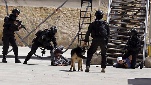 ירדנים משתלטים על "מחבלים" (צילום: AP) (צילום: AP)