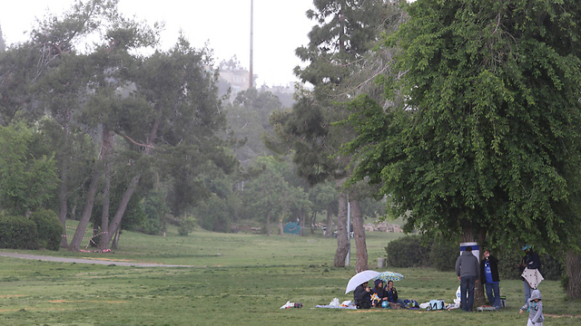 עם מטריות בפארק ירושלים (צילום: גיל יוחנן) (צילום: גיל יוחנן)