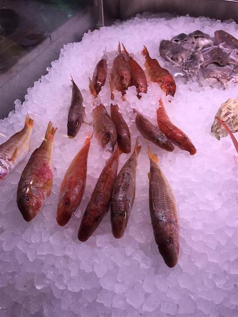 האם מחירי הדגים יירדו? (צילום: רפי אהרונוביץ') (צילום: רפי אהרונוביץ')