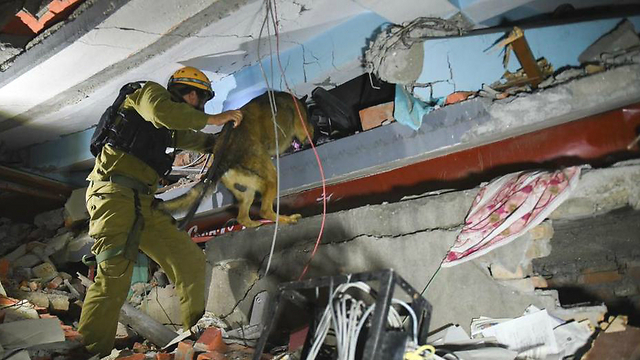 IDF soldier and his dog search for survivors in Nepal. (Photo: IDF Spokesman)