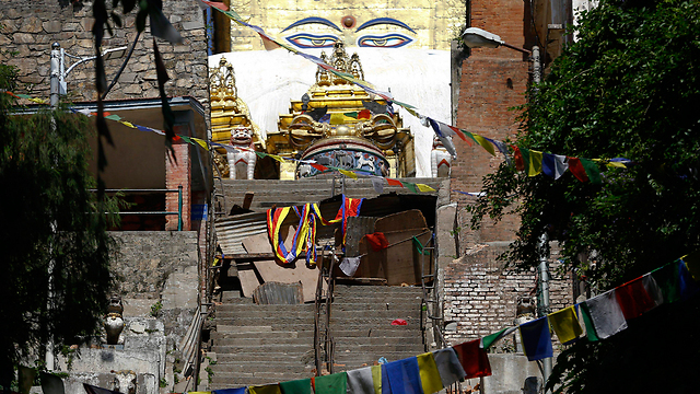 המדרגות המובילות אל עיני בודהה במקדש הקופים (צילום: EPA) (צילום: EPA)