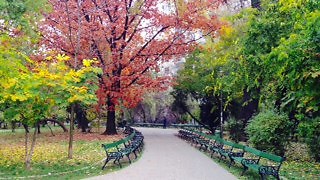 פארק צ'ישמיג'יו (צילום: שי זדה)