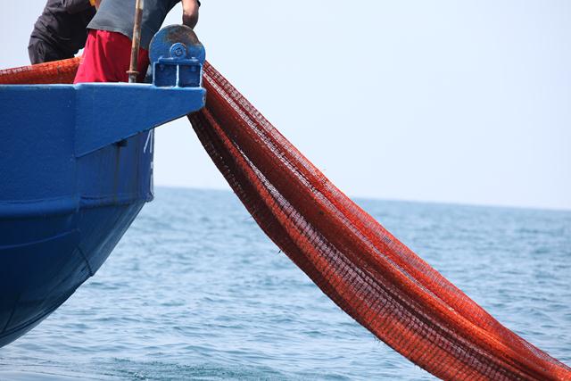 מעלים את שלל הדיג לספינה (צילום: אורי פרו, רשות הטבע והגנים) (צילום: אוהד פלג) (צילום: אוהד פלג)