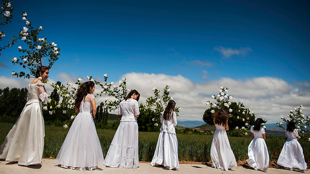 נשים צעירות בשמלות כלה משתתפות בטקס מסורתי עתיק בעיר סורחאנו בצפון ספרד לכבוד עונת האביב ולמען הפוריות (צילום: AP) (צילום: AP)