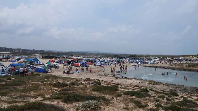 חוף פלמחים בשבת  (צילום: תום עמית) (צילום: תום עמית)