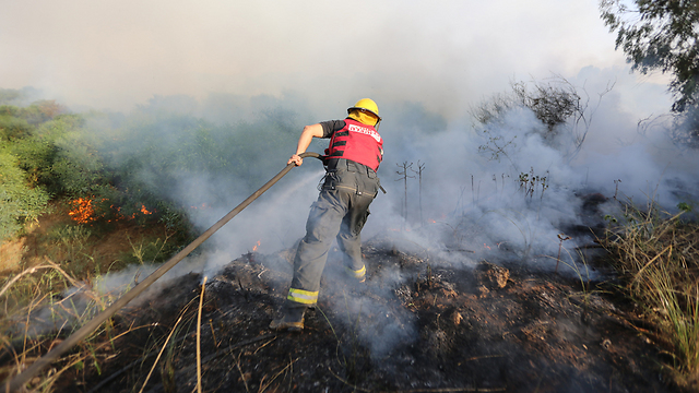 שריפת קוצים גדולה באזור גלילות  (צילום: ירון ברנר) (צילום: ירון ברנר)
