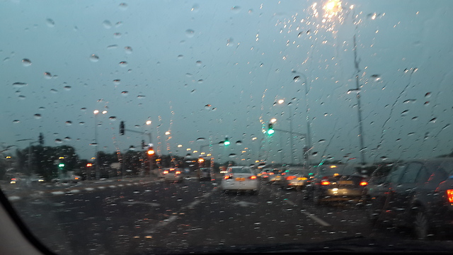 גשם בשרון, הערב (צילום: רענן צור) (צילום: רענן צור)