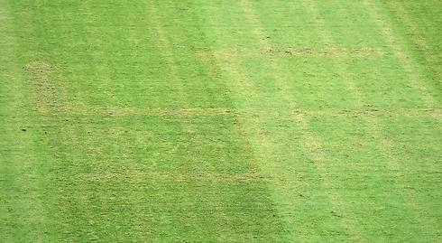 צלב הקרס שצויר על הדשא בספליט (צילום: AFP) (צילום: AFP)