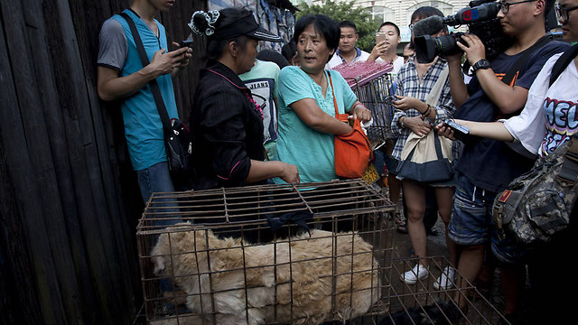 פעילי בעלי חיים קונים כלבים בפסטיבל כדי להצילם ממוות (צילום: AFP) (צילום: AFP)