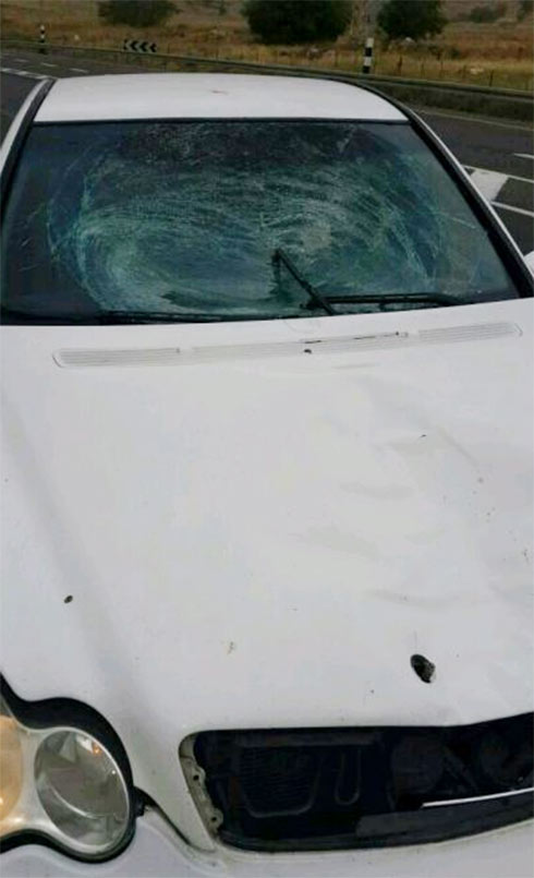 המכונית שפגעה באישה, הבוקר (צילום: דוברות מד"א) (צילום: דוברות מד