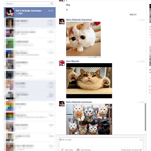 דוגמה ב': משתמש א' שולח חתול, התוכנה ממליצה על חתול אחר, ולאחר מכן על קבוצת חתולים - ליצירת רגע קומי ()