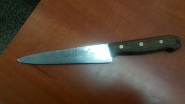 הסכין שנשא הפלסטיני מחברון  (צילום: חטיבת דובר המשטרה) (צילום: חטיבת דובר המשטרה)
