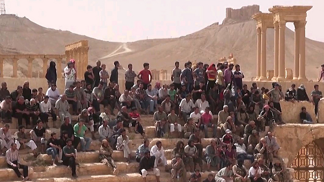 צופים בהוצאה להורג בעיר העתיקה תדמור בסוריה, שנפלה לידי דאעש ()
