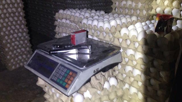 חותמות מזויפות וביצים ללא פיקוח שתפסה המשטרה (צילום: חטיבת דובר המשטרה) (צילום: חטיבת דובר המשטרה)
