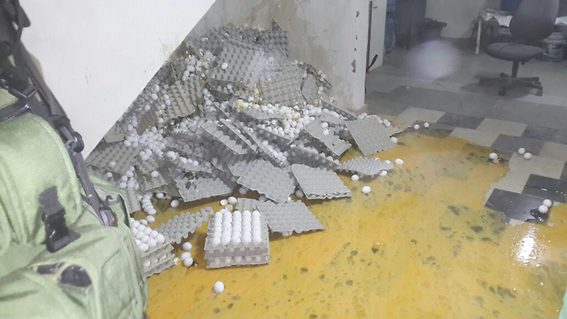 הביצים והכסף נתפסו במחסן בבית לקיא  (צילום: חטיבת דובר המשטרה) (צילום: חטיבת דובר המשטרה)