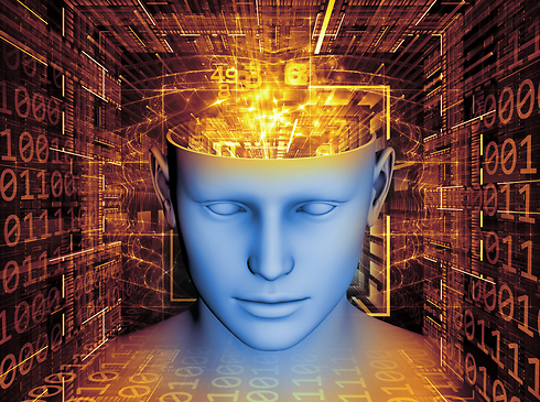 מחשב מדמה את המוח האנושי - בפיתוח מתקדם (צילום: shutterstock) (צילום: shutterstock)