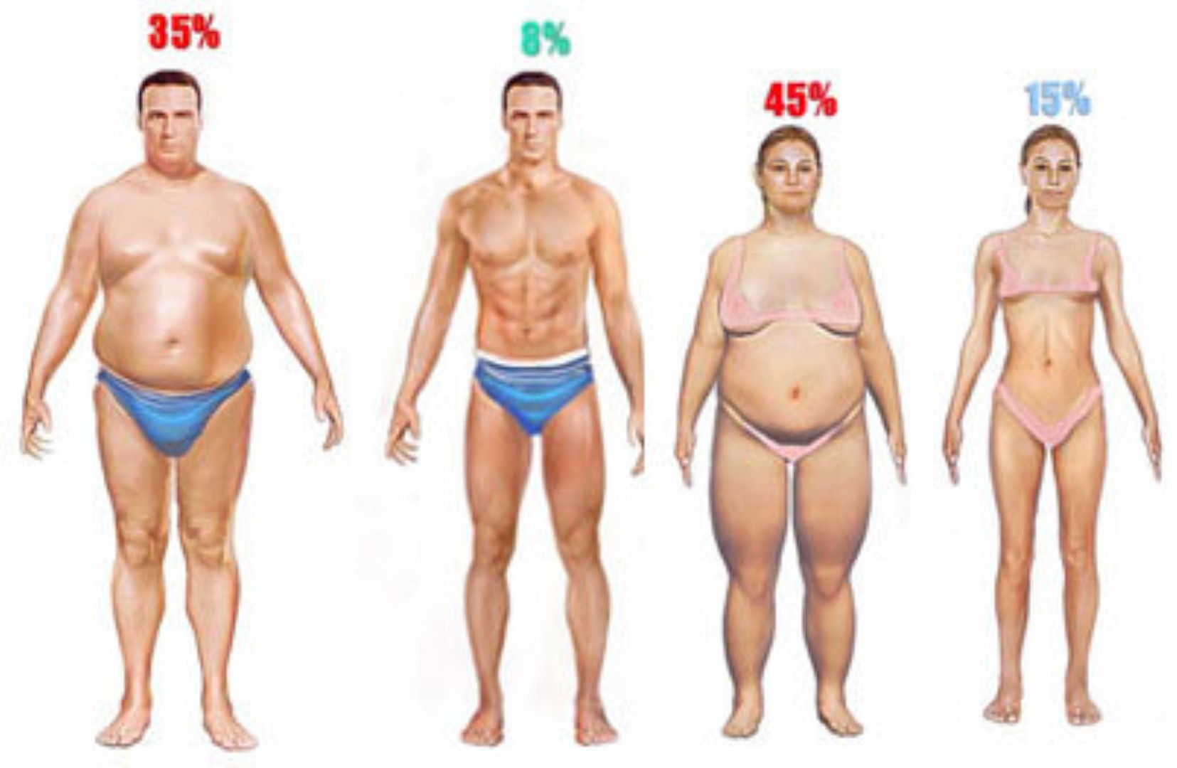 Процент жирности человека