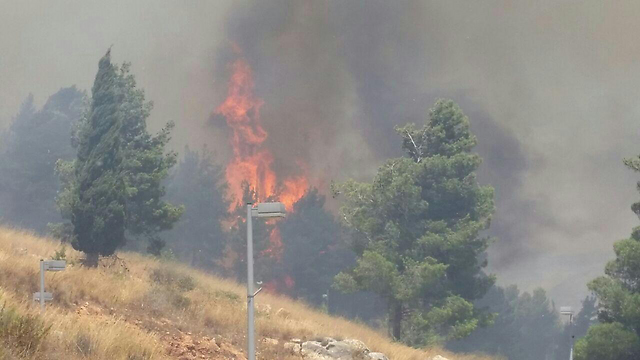 השריפה בין קריית שמונה למכללה (צילום: דוברות כיבוי אש והצלה מחוז צפון) (צילום: דוברות כיבוי אש והצלה מחוז צפון)