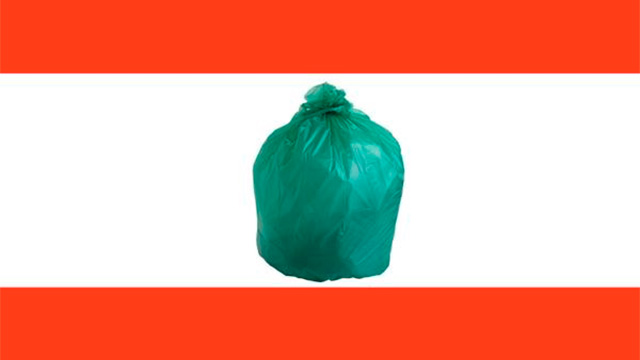 לאן נעלם הארז בדגל לבנון? ()
