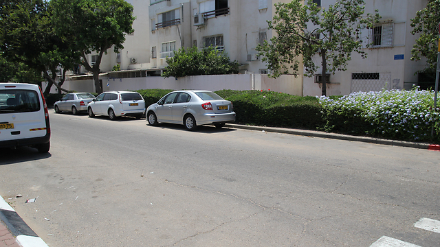 אפור ברחוב אלנקווה (צילום: אלי סגל) (צילום: אלי סגל)
