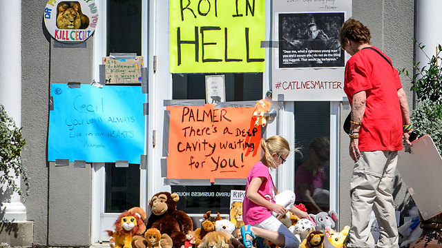 הפגנה מול המרפאה של פלמר (צילום: AP) (צילום: AP)