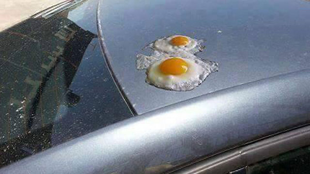 מטגנים ביצים על מכונית לוהטת. מתוך הטוויטר של העיתון "א-רד" ()
