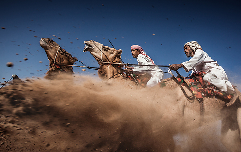 Camel racing in Oman (Photo: Ahmed Al Toqi / National Geographic Traveler Photo Contest)